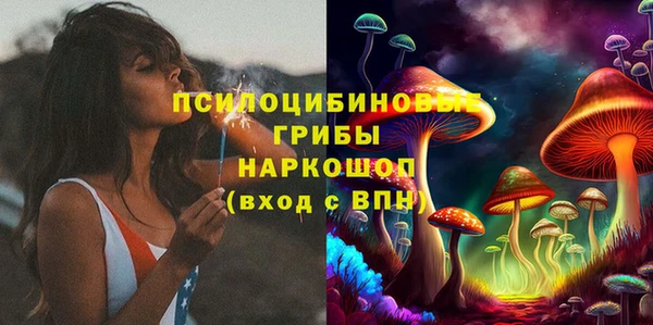 гидра Карталы